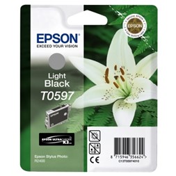 Blekk EPSON C13T05974010 grå