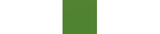 Serviett DUNI 3L 40cm Palm green (125)