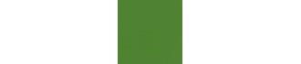 Serviett DUNILIN 40cm Palmgreen (50)