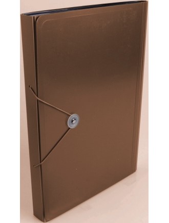 Hjemmearkiv A4 Metallic 12 lom lysebrun