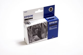 Blekk EPSON C13T04814010 sort