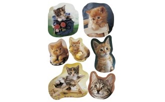 Etikett HERMA dekor fotogene katter