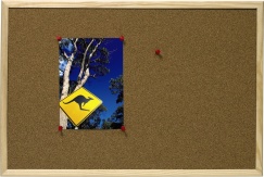 Korktavle ESSELTE treramme 40x60cm