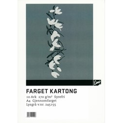 Kartong EMO A4 270g 93 Grå (10)