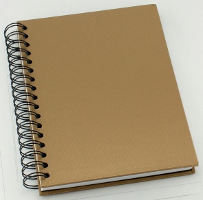 Spiralbok GRIEG A5 160s linjer gull