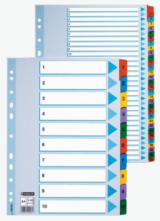 Register ESSELTE Mylar A4 1-31