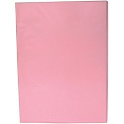 Presentasjonsmappe 20 lommer Frost rosa